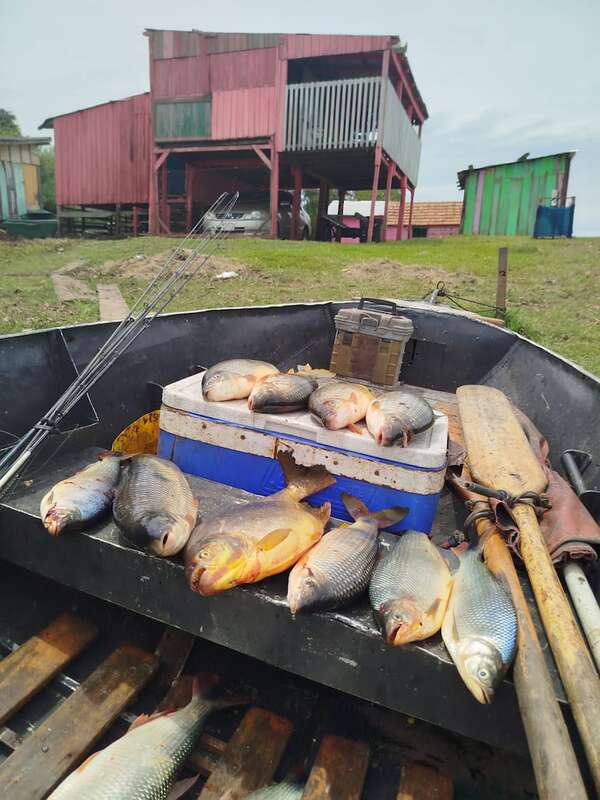 Preocupa escasez de pescado ante la proximidad de Semana Santa - Nacionales - ABC Color