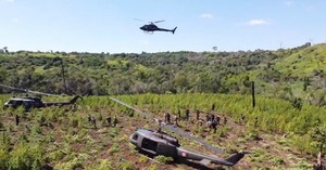 Concluyó “Nueva Alianza 48”: operación dejó perjuicio de US$ 26 millones al narcotráfico - ADN Digital