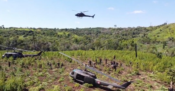 Concluyó “Nueva Alianza 48”: operación dejó perjuicio de US$ 26 millones al narcotráfico - ADN Digital