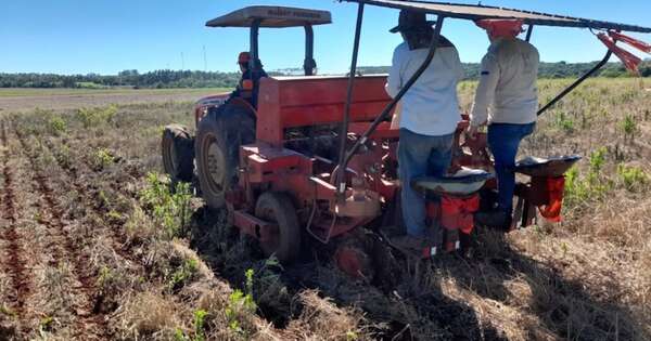 La Nación / Esperan que abril traiga más lluvias para aliviar la situación en el campo