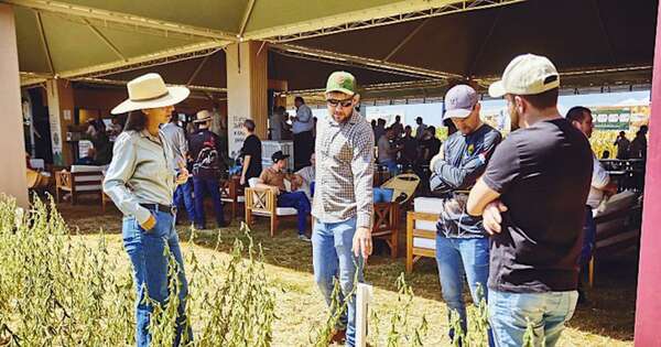 La Nación / Agrotec celebra 35 años de innovación y liderazgo en Paraguay: “Juntos a cada paso”