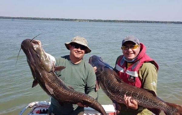 Advierten escasez de pescado ante la proximidad de Semana Santa - OviedoPress