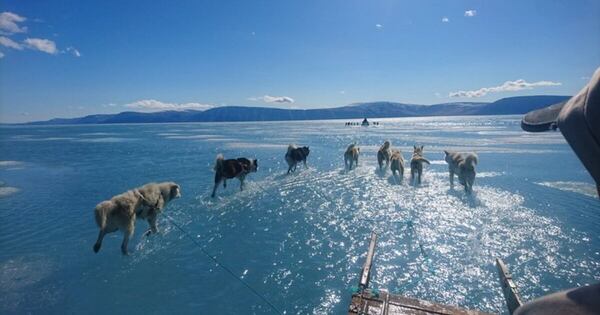 La Nación / Regiones glaciares sufrieron una pérdida de masa por tercer año consecutivo