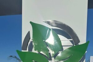 ¡Guapa agente inmobiliaria robo miradas en feria agropecuaria multitudinaria!