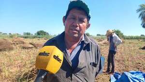 Unos 1.500 campesinos del departamento de Caaguazú se manifestarán contra el Gobierno - Nacionales - ABC Color