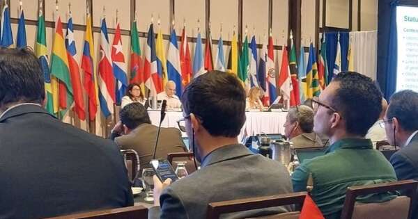 La Nación / Senave participó de reuniones preparatorias del COP 2025