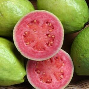 Guayaba orgánica, galletas saludables y chocolate, nuevas exportaciones de Paraguay - 1000 Noticias