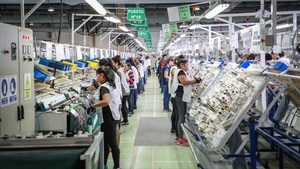 Paraguay atrae empresas uruguayas que buscan mejores condiciones | Empresas | 5Días