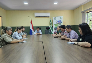 La ANDE prevé serie de inversiones e intervenciones en la zona de Yguazú - La Clave