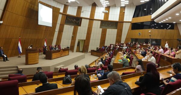 Diario HOY | Debaten sobre el sistema de salud paraguayo en audiencia pública