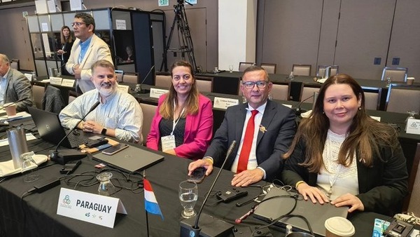 Senave participa en reunión preparatoria para la COP 2025 sobre gestión de químicos y desechos - ADN Digital
