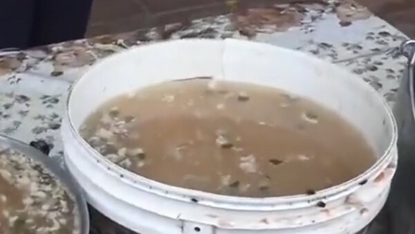 Desestiman denuncia contra Comepar por supuesto kure caldo en mal estado