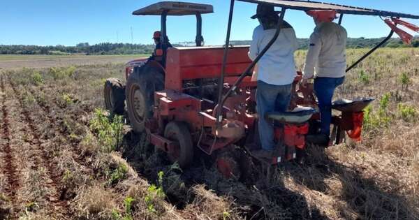 La Nación / Esperan que abril traiga más lluvias para aliviar al campo