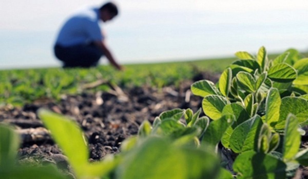 Canadá busca cooperación con Paraguay en agrotecnología y producción agropecuaria