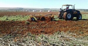 La Nación / Mbaracayú: hallan cadáver en tierra mecanizada y  detienen a supuesto autor