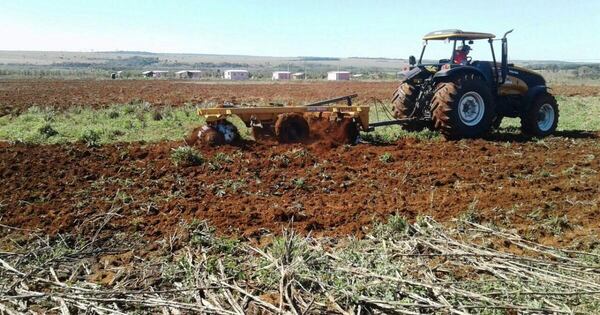 La Nación / Mbaracayú: hallan cadáver en tierra mecanizada y  detienen a supuesto autor