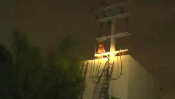 Presunto adicto muere electrocutado tras intentar robar cable de la ANDE