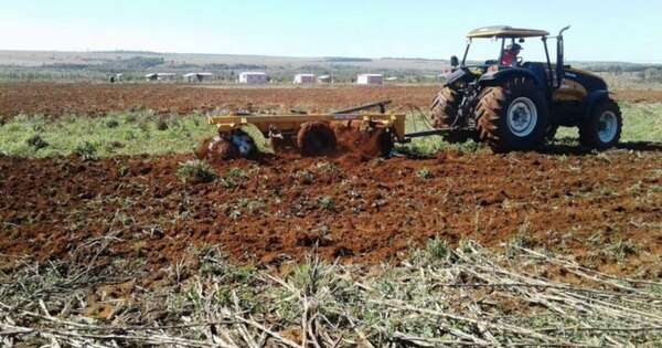 La Nación / Hallan cadáver en tierra mecanizada