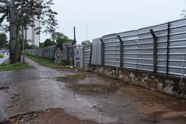 San Vicente: Nenecho sigue sin explicar por qué autorizó derribo de bosque urbano - Nacionales - ABC Color