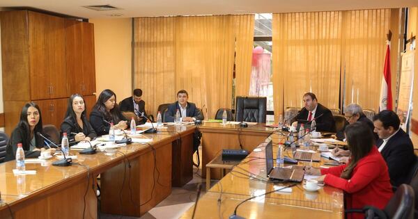 La Nación / Comisión del Senado convocará a autoridades para informar los avances de Hambre Cero