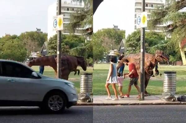 [VIDEO] ¡¿Volvieron los dinosaurios?! Se volvió viral un “Rex’i” revolviendo la basura en una plaza