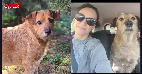 “Se fue mi compañero”: Pabla Thomen conmueve con su adiós a Chiruzo