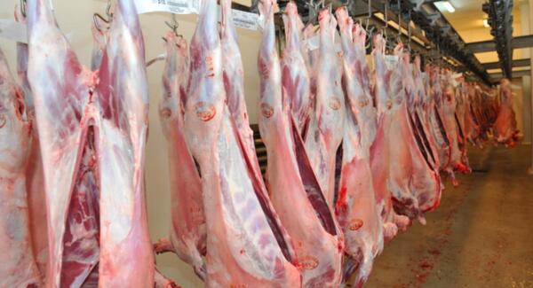 Carne ovina logra acceso al mercado de Israel