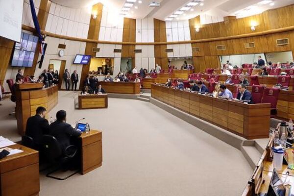 Diputados analizarán interpelar a la ministra de Salud
