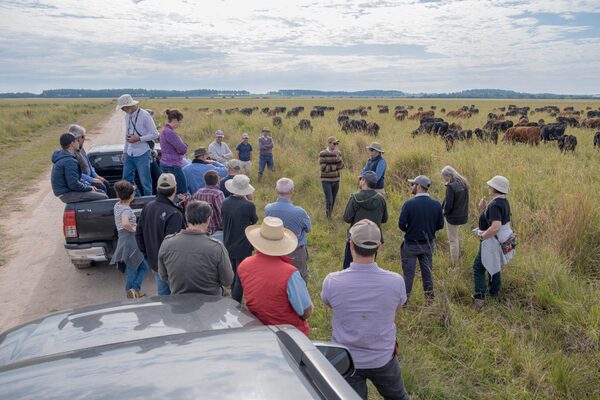 De Raíz invita a su jornada de campo en abril: planificación estratégica para una ganadería eficiente