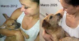 Diario HOY | Murió “Chiruzo”, la mediática mascota de Pabla Thomen