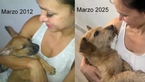 Murió “Chiruzo”, la mediática mascota de Pabla Thomen