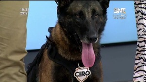 Matías Chaparro visitó ArribaPy y habló sobre el adiestramiento canino - SNT