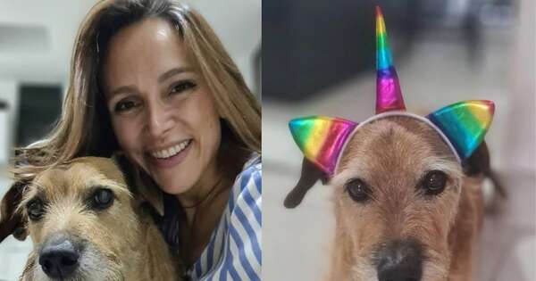 La Nación / “Se fue mi compañero”: Falleció Chiruzo, la mascota de Pabla Thomen