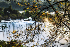Otoño transforma el Parque Nacional del Yguazú en un espectáculo natural - La Clave