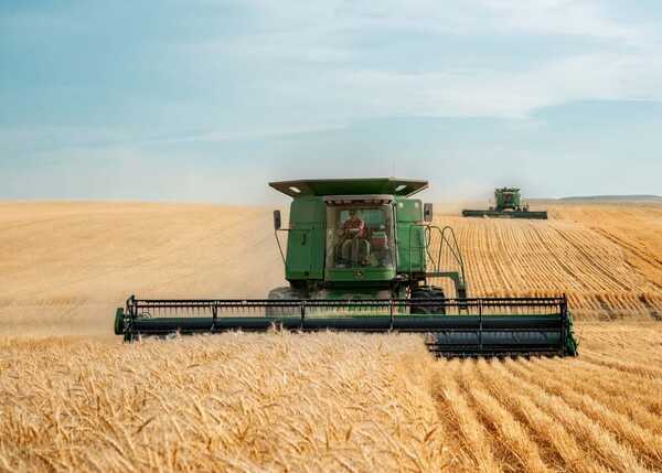 Fase neutral de La Niña sería fundamental para el campo y la zafriña | Agronegocios | 5Días