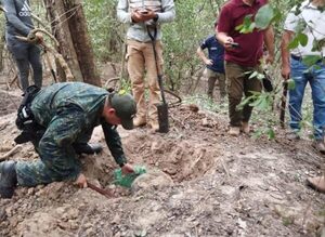 Hallan caletas con armas, explosivos y materiales pertenecientes al grupo criminal Ejército Mcal. López