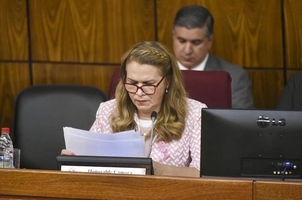 Interpelación a la ministra de Salud en agenda de Diputados este martes