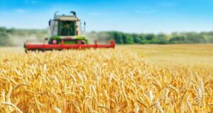 Agro argentino permitirá el ingreso de USD 30.800 millones