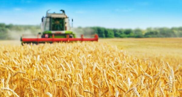 Agro argentino permitirá el ingreso de USD 30.800 millones