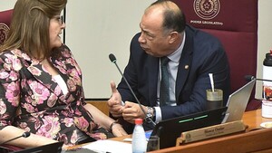 Afara denuncia que la ANR pertenece solo al cartismo