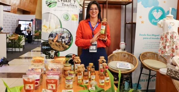 Más de 230.000 Mipymes se concentran en Asunción y Central