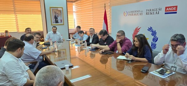 ANDE apunta a la digitalización de redes de distribución eléctrica a nivel nacional - .::Agencia IP::.