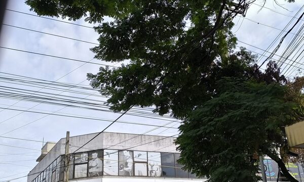 Proponen ordenanza para regular el cableado aéreo en Presidente Franco