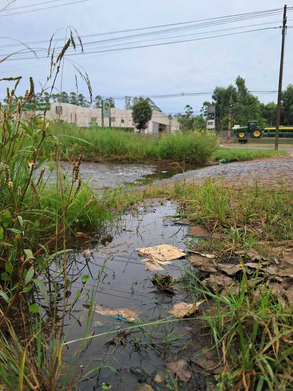 Accionarán contra la EBY por contaminación de aguas