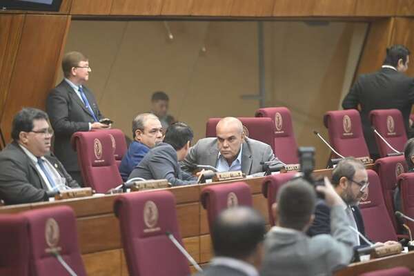 “Bachi” Núñez en Diputados: Fue a “saludar” y se retiró nervioso criticando a la “prensa ensobrada” - Política - ABC Color