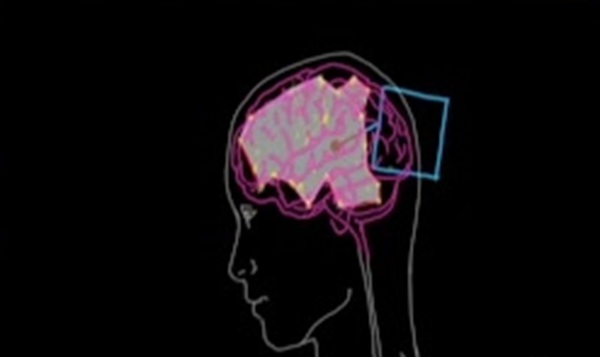 Consejos para desarrollar la inteligencia emocional, según el Lic. René Pereira - SNT
