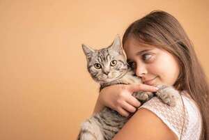¿Tu gato te quiere: cinco señales que lo confirman - Mascotas - ABC Color