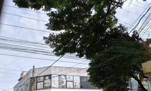 Aprueban una ordenanza municipal para regular el cableado aéreo en Pdte. Franco – Diario TNPRESS