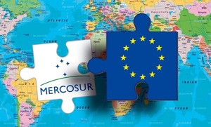 "Por intereses de países particulares, Paraguay no puede llevar a cabo acuerdos beneficiosos" - 1000 Noticias