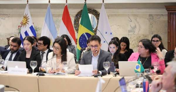 La Nación / Paraguay y Mercosur deben explorar los mercados de Asia y EE. UU., dice economista